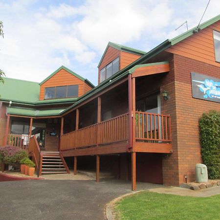 High On Penguin Bed & Breakfast Exterior photo